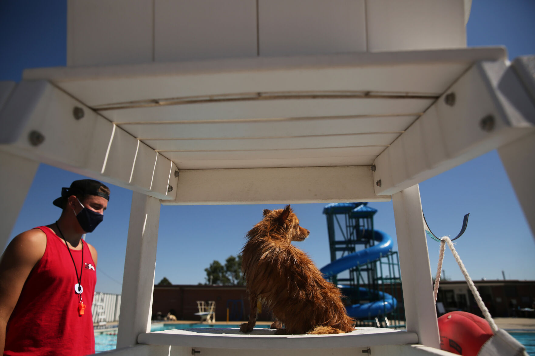 091320-news-dogsplash 10.jpg